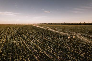 Kelinda, Moura QLD 4718