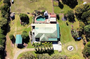 Farm Sold - QLD - Mareeba - 4880 - 5 Acres of Paradise  (Image 2)