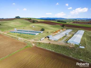 Farm For Sale - TAS - Sassafras - 7307 - Your Gateway to Agricultural Prosperity  (Image 2)