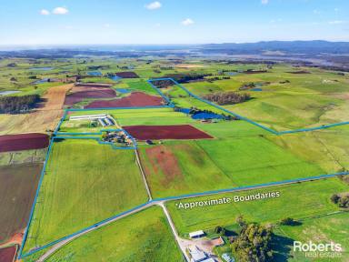 Farm For Sale - TAS - Sassafras - 7307 - Your Gateway to Agricultural Prosperity  (Image 2)