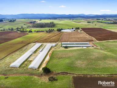 Farm For Sale - TAS - Sassafras - 7307 - Your Gateway to Agricultural Prosperity  (Image 2)