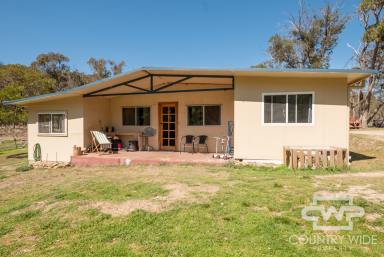 Farm Sold - NSW - Dundee - 2370 - Off Grid Lifestyle  (Image 2)
