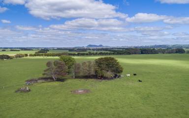 Farm Sold - VIC - Skibo - 3260 - Small Acreage Outpaddock For Sale Via Expressions Of Interest  (Image 2)