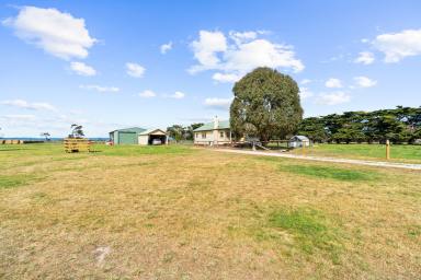 Farm For Sale - VIC - Glengarry - 3857 - Setup and ready to go!  (Image 2)