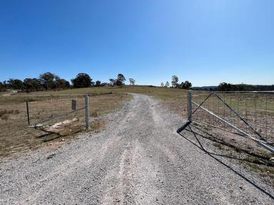 Farm Sold - NSW - Bannaby - 2580 - 100 ACRES WITH A COMPLETELY SET UP, PERFECT WEEKENDER, IDEAL GRAZING COUNTRY + WITH ALL THE CREATURE COMFORTS,  A TRULY  AMAZING PROPERTY ALL ROUND  (Image 2)