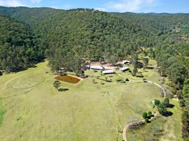 Farm Sold - NSW - Paynes Crossing - 2325 - 'Jaspers' - Horse Friendly Acreage with an Incredible Homestead  (Image 2)