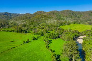 Farm For Sale - NSW - Pappinbarra - 2446 - Get Off the Grid - 40 Acres of Rich Farmland on the Pappinbarra River  (Image 2)