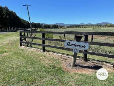 Farm Sold - NSW - Denman - 2328 - PRIME POSITION!!  (Image 2)