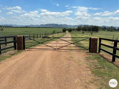 Farm Sold - NSW - Denman - 2328 - PRIME POSITION!!  (Image 2)