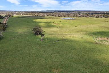 Farm For Sale - VIC - Homerton - 3304 - DRAMATIC PRICE REDUCTION !  (Image 2)
