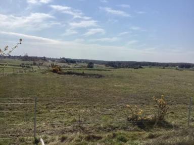Farm For Sale - VIC - Scarsdale - 3351 - 8 Ha (20 acres) Rural Homesite; New Fences and Crossover; Undulating Land with Views  (Image 2)