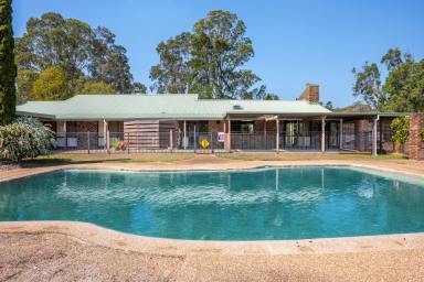 Farm Sold - NSW - Wingham - 2429 - Architectural Delight on Creek Fronted Acreage  (Image 2)