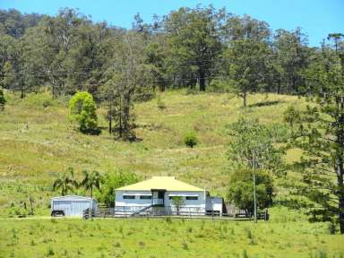 Farm For Sale - NSW - Kyogle - 2474 - GREEN PIGEON FARM  (Image 2)