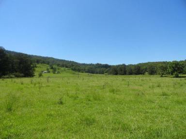 Farm For Sale - NSW - Kyogle - 2474 - GREEN PIGEON FARM  (Image 2)
