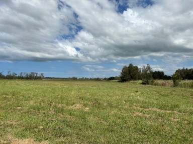 Farm Sold - NSW - Jones Island - 2430 - Waterfront Retreat - CURRENT BID $170,000  (Image 2)