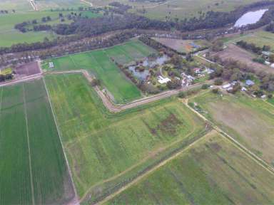 Farm Sold - VIC - Swan Hill - 3585 - Down by the River  (Image 2)