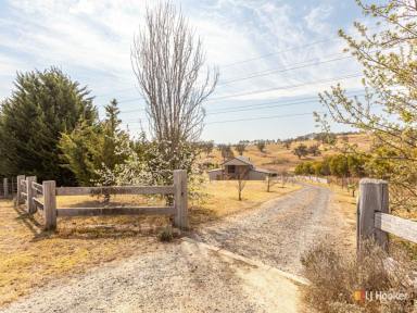 Farm Sold - NSW - Bega - 2550 - WHAT A PROPERTY! WHAT A LOCATION!  (Image 2)