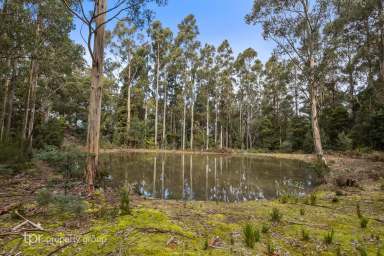 Farm Sold - TAS - Franklin - 7113 - PRICE REDUCTION  (Image 2)