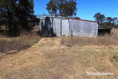 Farm Sold - QLD - Kingaroy - 4610 - Acreage close to town  (Image 2)