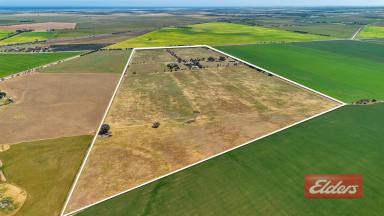Farm Sold - SA - Lower Light - 5501 - UNDER CONTRACT BY CHRISTOPHER HURST  (Image 2)