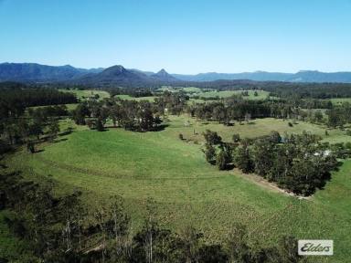 Farm Sold - NSW - Killabakh - 2429 - A PEACEFUL LOCATION WITH PRODUCTIVE ACRES  (Image 2)