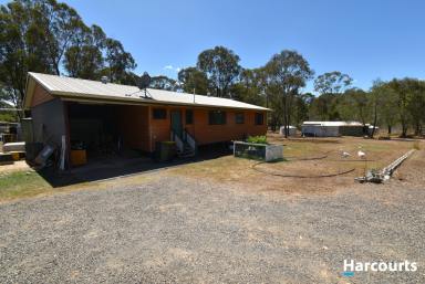 Farm For Sale - QLD - North Gregory - 4660 - Acreage Living With A Huge Shed and Pool!!!  (Image 2)