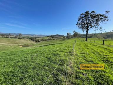 Farm Sold - NSW - Gloucester - 2422 - Lifestyle Farm in Prime Location  (Image 2)