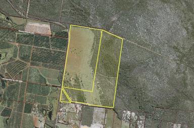 Farm For Sale - QLD - Goodwood - 4660 - GRAZING LAND, 200 ACRES OF CULTIVATION, 9Ml BORE ALLOC. | 2 TITLES  (Image 2)