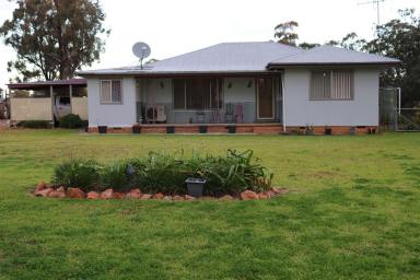 Farm For Sale - NSW - Parkes - 2870 - Owned by the same Family for 36 Years  (Image 2)