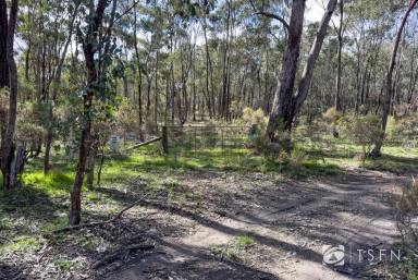 Farm For Sale - VIC - Axe Creek - 3551 - Embrace Nature&apos;s Serenity on 20 Acres  (Image 2)