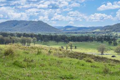 Farm Sold - NSW - Glen William - 2321 - Unlimited Potential  (Image 2)