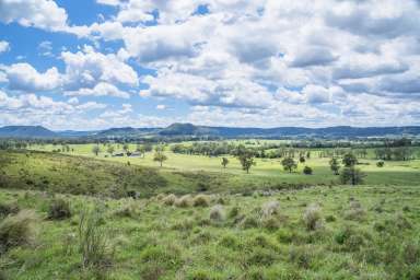 Farm Sold - NSW - Glen William - 2321 - Unlimited Potential  (Image 2)