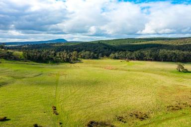 Farm For Sale - VIC - Grenville - 3352 - NOTED BALLARAT DISTRICT PROPERTY  (Image 2)