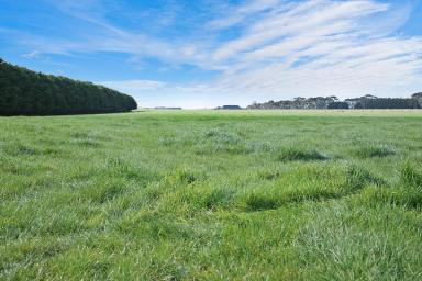 Farm Sold - VIC - Irrewarra - 3249 - OUTSTANDING COLAC DISTRICT COUNTRY  (Image 2)
