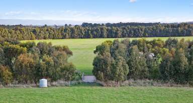 Farm Sold - VIC - Birregurra - 3242 - HIGHLY DESIRABLE PICTURESQUE BIRREGURRA COUNTRY  (Image 2)