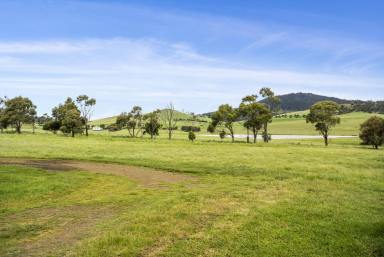 Farm For Sale - TAS - Tea Tree - 7017 - Outstanding viticulture, horticulture, cropping and livestock opportunity  (Image 2)