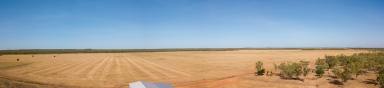 Farm For Sale - NT - Katherine  - 0850 - Versatile Cropping & Grazing   (Image 2)