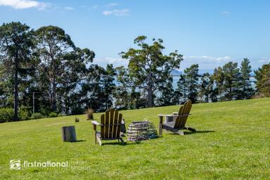 Farm For Sale - TAS - Simpsons Bay - 7150 - Seaside Paradise: Your Blank Canvas in Simpsons Bay, Bruny Island  (Image 2)