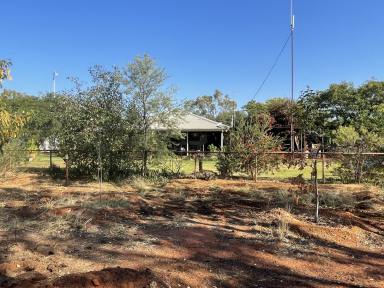 Farm Sold - QLD - Eulo - 4491 - Drought Resilient Grazing On The Paroo  (Image 2)