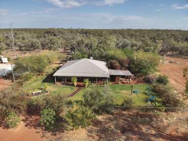 Farm Sold - QLD - Eulo - 4491 - Drought Resilient Grazing On The Paroo  (Image 2)