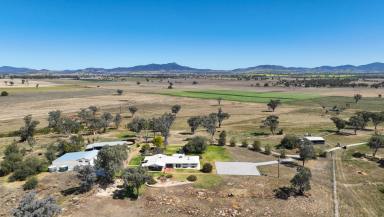 Farm Sold - NSW - Tamworth - 2340 - VENDOR SAYS SELL- Must Be sold  (Image 2)