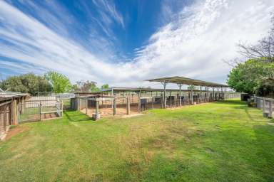 Farm For Sale - VIC - Shepparton East - 3631 - Pristine Greyhound Breeding & Training Facility  (Image 2)