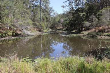 Farm Sold - QLD - North Deep Creek - 4570 - LUXURY & NATURAL BEAUTY  (Image 2)