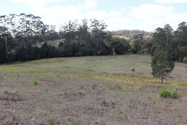 Farm Sold - QLD - North Deep Creek - 4570 - LUXURY & NATURAL BEAUTY  (Image 2)