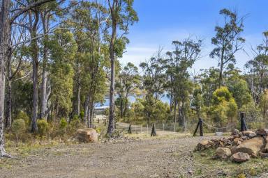 Farm Sold - TAS - Murdunna - 7178 - Over 9 acres, walking distance to the coastal walking track and to the local Murdunna Roadhouse for your morning coffee or seaside stroll.  (Image 2)