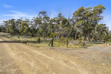 Farm Sold - TAS - Murdunna - 7178 - Over 9 acres, walking distance to the coastal walking track and to the local Murdunna Roadhouse for your morning coffee or seaside stroll.  (Image 2)