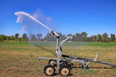 Farm For Sale - QLD - Mount Murchison - 4715 - Callide Creek Irrigation | Hay - Grain - Beef  (Image 2)