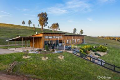 Farm Sold - VIC - Greta West - 3675 - Exquisite Property with Mountain Views  (Image 2)