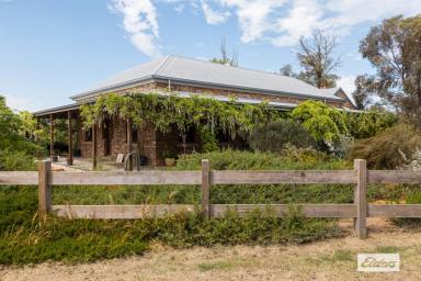 Farm For Sale - VIC - Rochester - 3561 - "The Settlement", Perfect Set Up for Stud Breeding or Agistment. Rural Luxury Adjacent to Rochester Golf Club. 98.37 Acres / 39.81 Hectares  (Image 2)