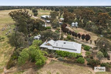 Farm For Sale - VIC - Rochester - 3561 - "The Settlement", Perfect Set Up for Stud Breeding or Agistment. Rural Luxury Adjacent to Rochester Golf Club. 98.37 Acres / 39.81 Hectares  (Image 2)
